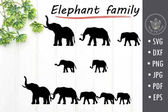 Download Digital Elephant Family Holding Tails Clipart Elephant Eps Etsy