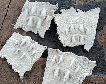 Rare Alligator Hornback Scales – Exotic Genuine Leather Pieces for Luxury Craft Projects & Collectors