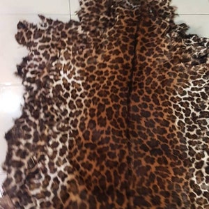 May include: A leopard print animal hide, featuring a pattern of dark brown spots on a tan background. The hide is irregularly shaped with a rough, textured surface. The image is taken from an overhead perspective.
