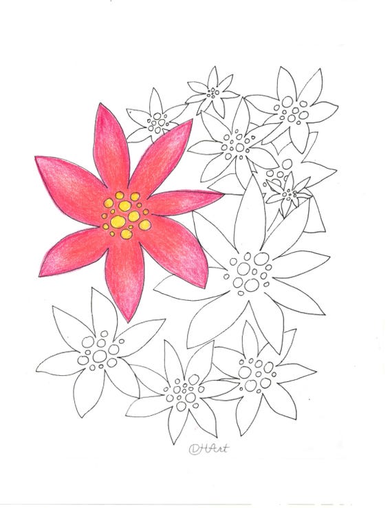 Blumen Malseite -- Weihnachtsstern zum Ausmalen - Etsy.de