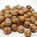 Wild Hazelnuts - Perfect for all kinds of YUMMY stuff - FREE SHIPPING