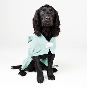 Op de afbeelding: Een zwarte hond die een lichtblauwe hondenjas draagt. De jas heeft een klein wit label met de tekst "The Dog's Company" erop.