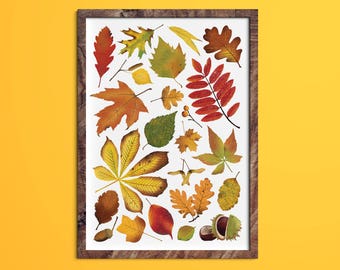 Autumn Leaves Print A3 Wall Art Illustration Decor Picture