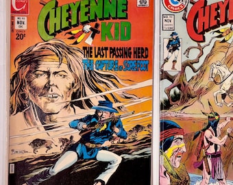Cheyenne Kid 93 99 Lot of 2 Bronze Age Westerns Charlton Comics 1972-1973 VF 8.0