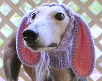dog quiet ears