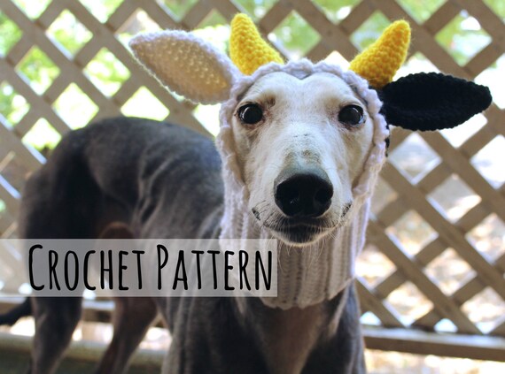 greyhound snood australia