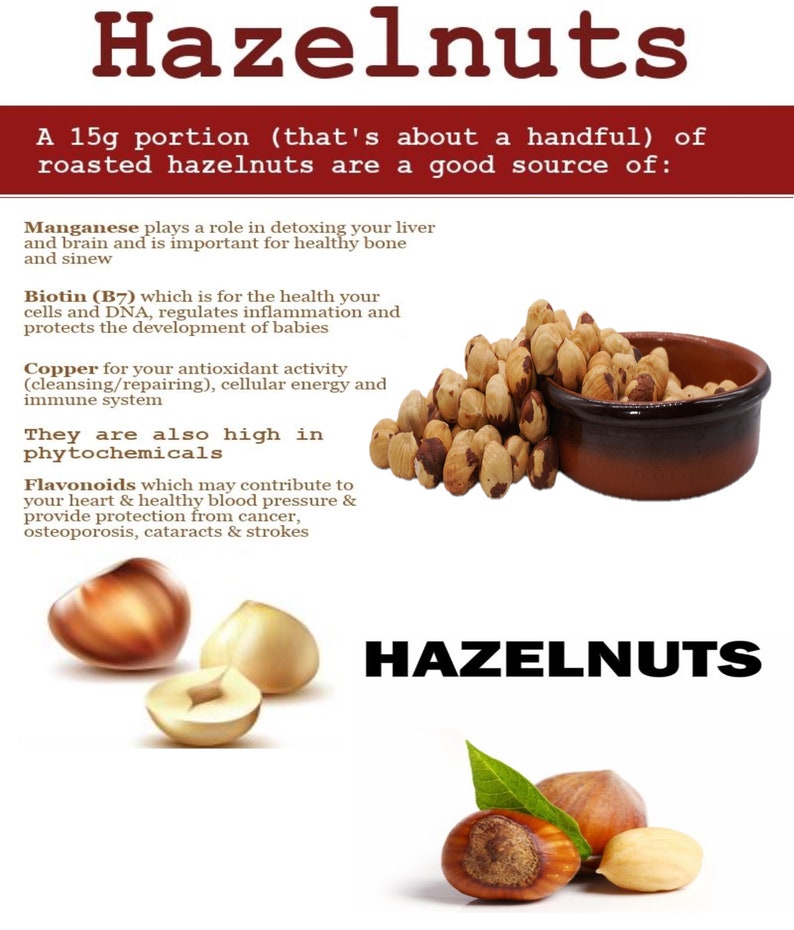 Raw Natural Whole Turkish Hazelnuts Filberts No Shell Etsy