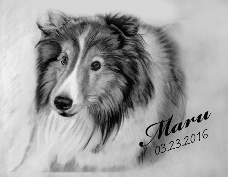 Custom Dog Drawing Drawing from Photo Custom Pet Portrait Pet portrait from Photo realistic pet drawing