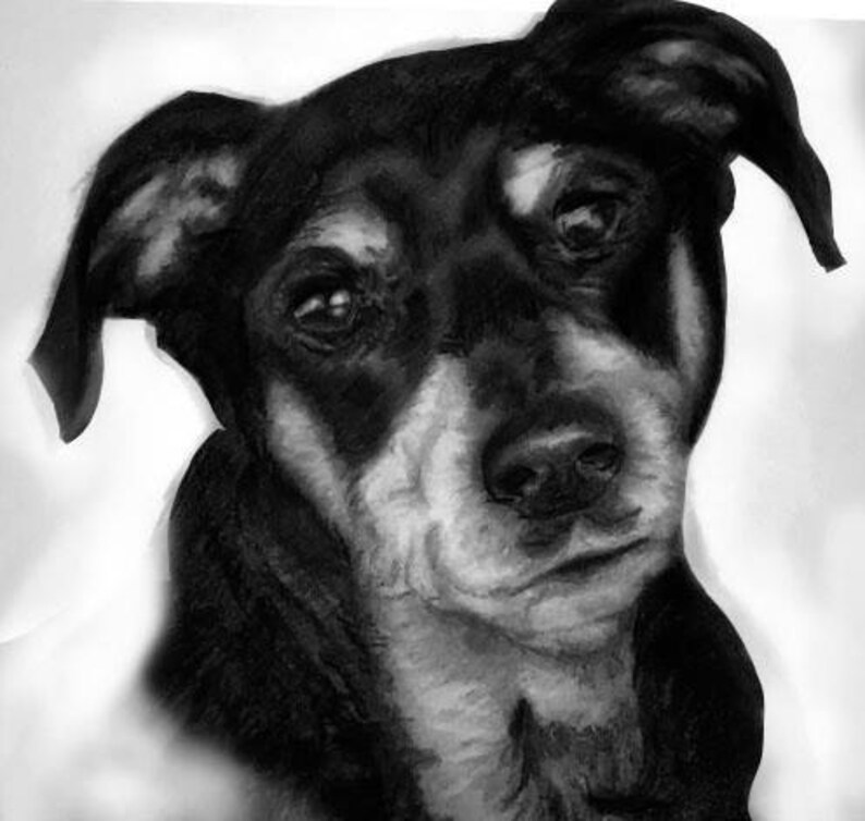 Custom Dog Drawing Drawing from Photo Custom Pet Portrait Pet portrait from Photo realistic pet drawing