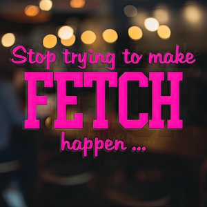 Mean Girls &#39;Stop Trying to Make Fetch Happen&#39; Decal – So Fetch Edition Vinyl Decal, Car Accessory, Laptop Sticker or Instant Pot Decal