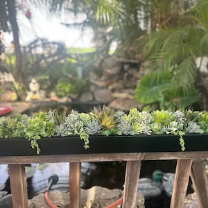 Large 30 x 6 faux succulent arrangement planter box realistic succulents in black box