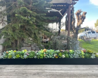 46 x 7 inch wide x 6 tall Faux succulent arrangement black planter box realistic succulents