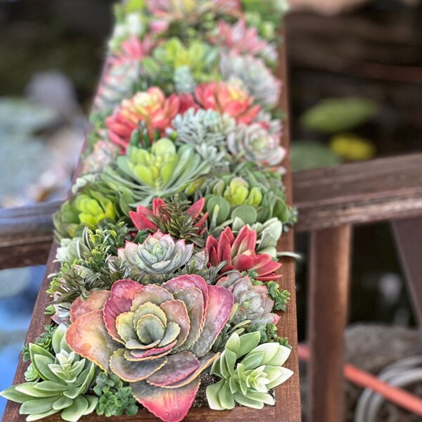 36 x 9” wide Extra Large faux succulent arrangement in a special walnut planter box- 36 x 9 x  6- realistic succulents