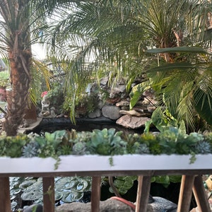 46 x 5 Large faux succulent arrangement planter box realistic succulents in wood planter
