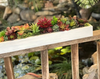 Large faux succulent arrangement whitewash planter box with red realistic succulents