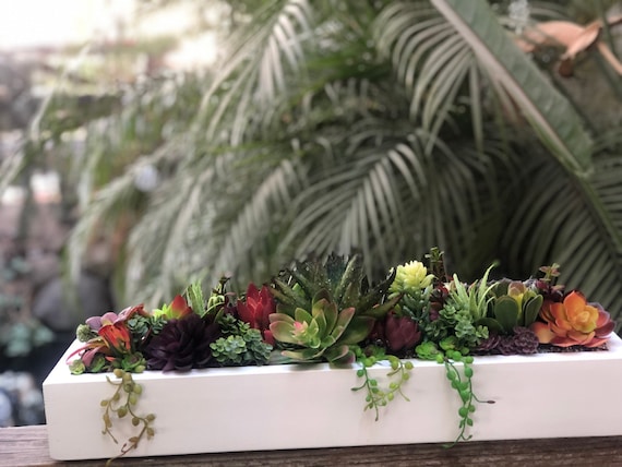 Large Faux Succulent Arrangement White Planter Box Realistic Succulents -  Etsy