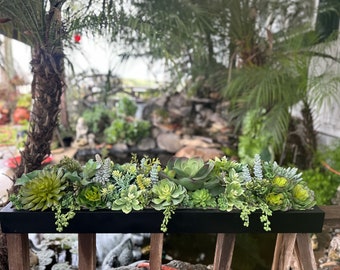 36 x 9 “ wide Extra Large faux succulent arrangement in a black base