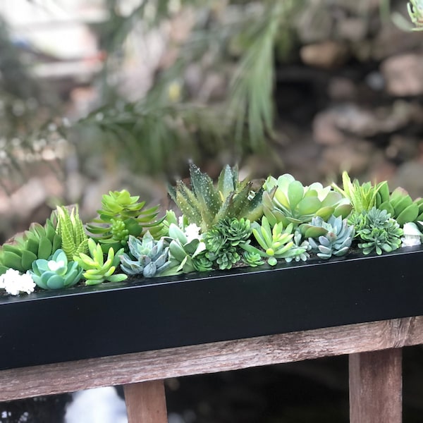 24 x 5” wide Large faux succulent arrangement planter box realistic succulents in a matte black wood planter box.