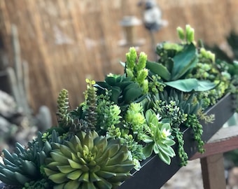 36 x 9 “ wide Extra Large faux succulent arrangement in a black base