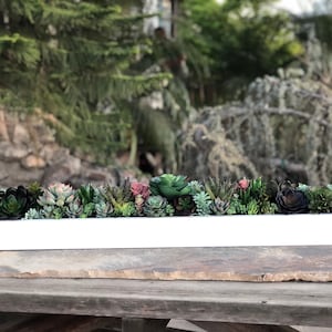 May include: A white rectangular planter filled with a variety of green succulents. The planter is sitting on a wooden table.