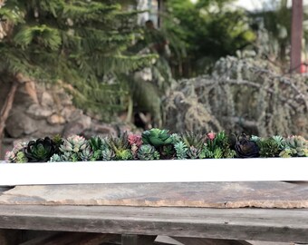 40 x 5” Large faux succulent arrangement white planter box with  colorful pink, purple and green realistic succulents