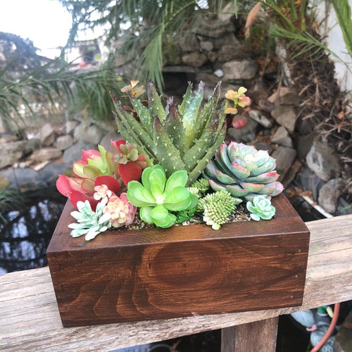Large Faux Succulent Arrangement Walnut Planter Box Realistic Etsy