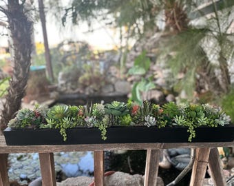 35” Large faux succulent arrangement planter box realistic succulents in black retangular wood box measuring 35” long