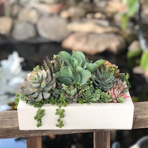 May include: A white rectangular planter filled with a variety of green succulents. The planter is sitting on a wooden railing.