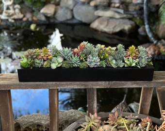 24 x 5” wide Large faux succulent arrangement planter box realistic succulents in a matte black wood planter box.