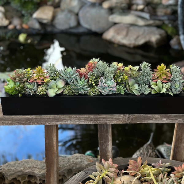 24 x 5” wide Large faux succulent arrangement planter box realistic succulents in a matte black wood planter box.