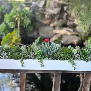 May include: A white planter box filled with a variety of green succulents. The planter is sitting on a wooden railing.