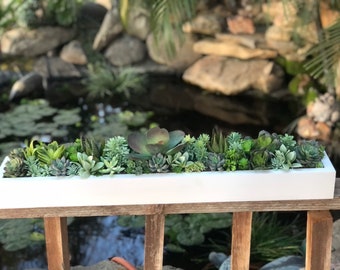 30 x 5" Large faux succulent arrangement in white wood planter box realistic succulents