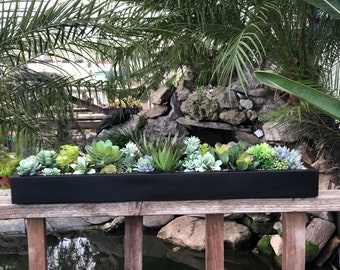 35 x 6 x about 6” tall including the succulents. Large faux succulent arrangement black planter box realistic succulents
