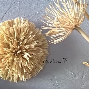 Peut inclure: Gros plan sur des fleurs décoratives séchées de couleur beige sur un fond bleu clair texturé. Les fleurs ont un design radial et épineux. L'image comprend la signature manuscrite "Cathie F."