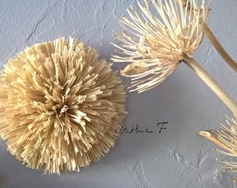 Mini Juju hat in raffia