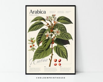 Vintage Coffee Plant Poster // Botanical Decor, Wall Art, Gift Idea, Coffee Poster