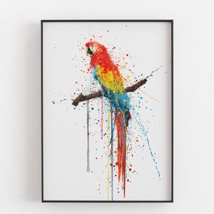 Scarlet Macaw Bird Wall Art print 0860