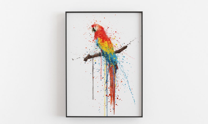 Scarlet Macaw Bird Wall Art print 0860 image 1