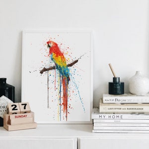 Scarlet Macaw Bird Wall Art print 0860 image 6