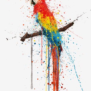 Scarlet Macaw Bird Wall Art print 0860 image 3