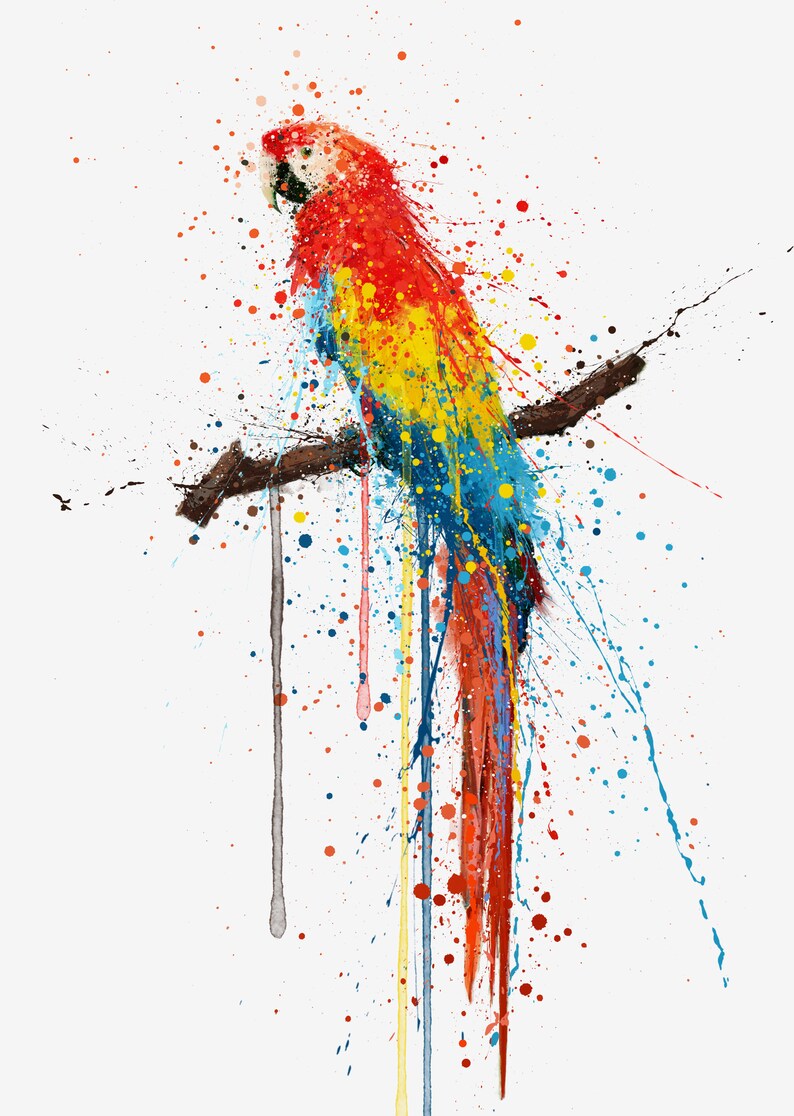 Scarlet Macaw Bird Wall Art print 0860 image 3