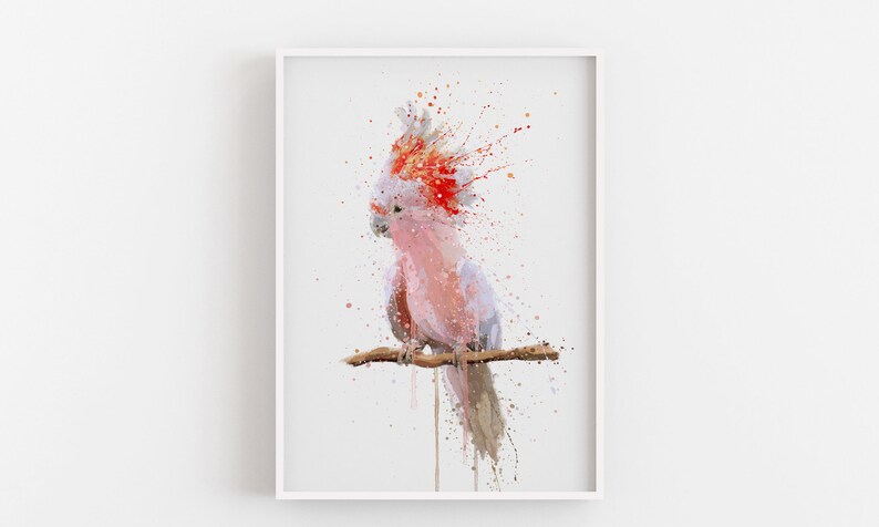 Cockatoo Wall Art Print \u2018Pink Majesty\u2019 0972