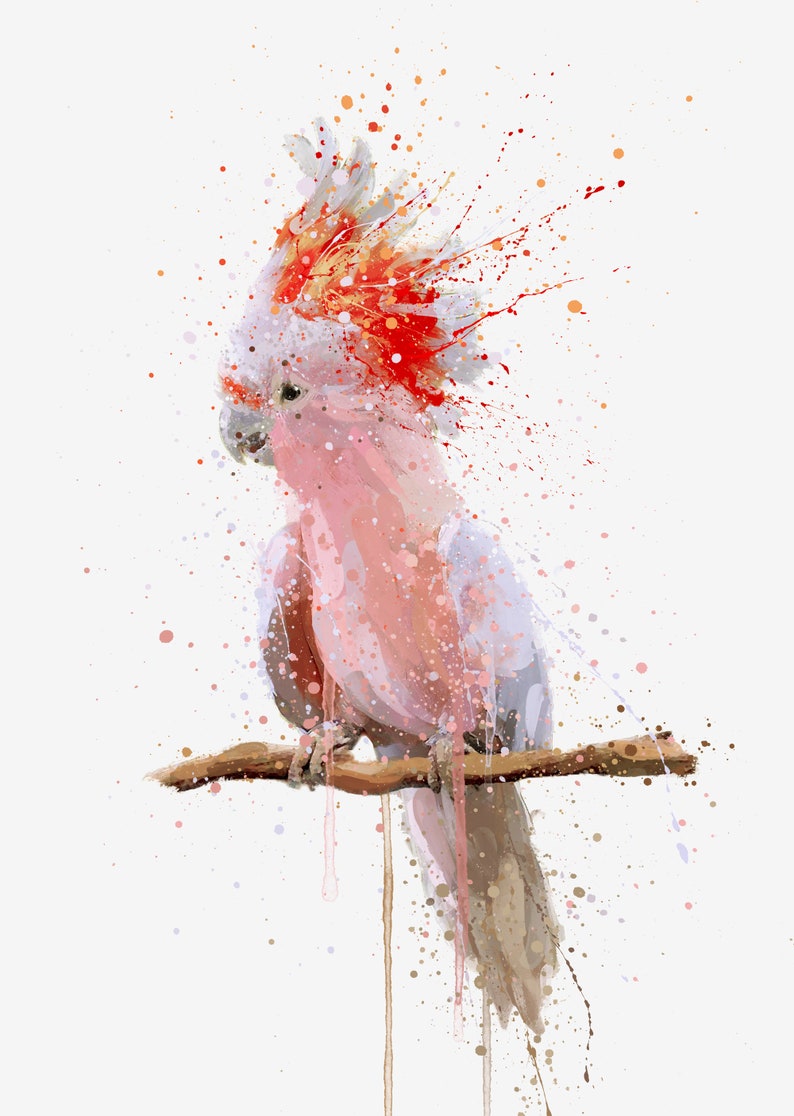 Cockatoo Wall Art Print \u2018Pink Majesty\u2019 0972