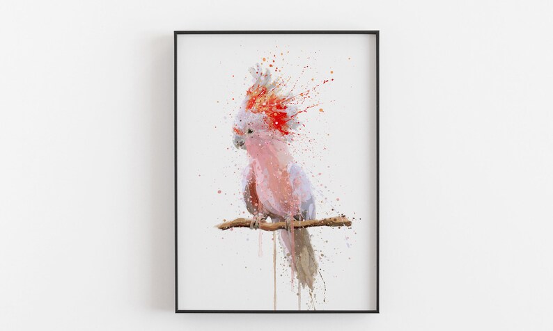 Cockatoo Wall Art Print \u2018Pink Majesty\u2019 0972