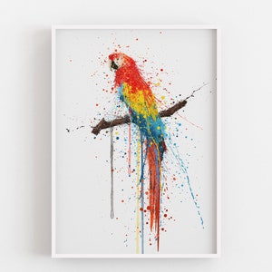 Scarlet Macaw Bird Wall Art print 0860 image 2