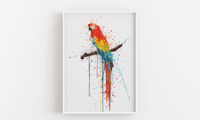 Scarlet Macaw Bird Wall Art print 0860 image 2