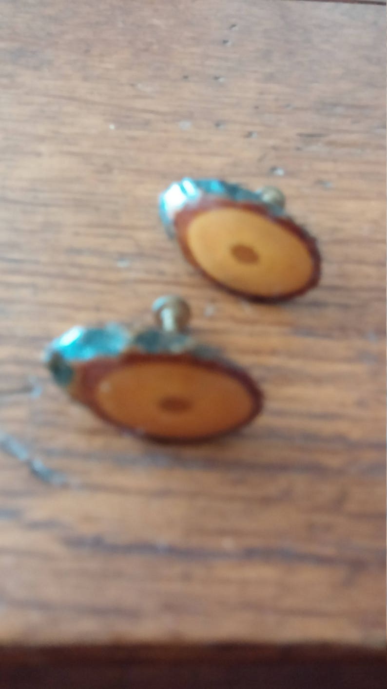 Wood Slice Screw Earrings