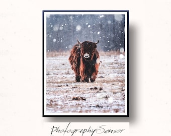Buffalo Poster, Bison in the Snow, Modern Print, Woodlands Nursery Animal, Printable Poster, Digital Download, Nursery Decor, Wall Art,
