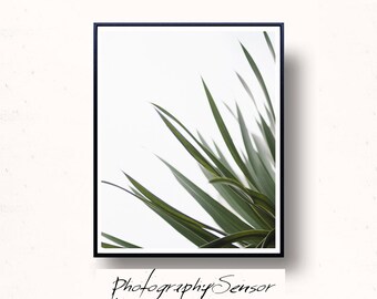 Botanical Print, Palm Leaf, Printable Tropical Leaves, Wall Art of Greenery, Kitchen, Green Leaves, Tropical Plant, Green Plant Poster,