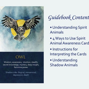 Spirit Animal Awareness Oracle Card Deck image 6